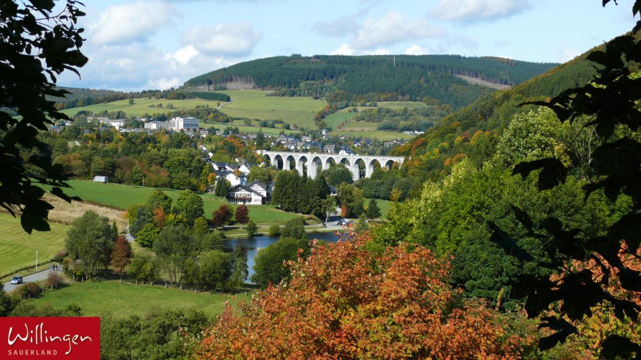 Villa Katharina Ferienwohnungen Willingen  Buitenkant foto